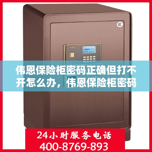 伟恩保险柜密码正确但打不开怎么办，伟恩保险柜密码正确却打不开的解决方法